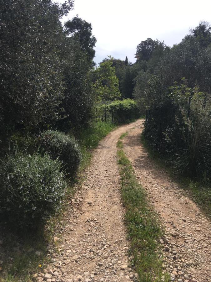 Cottage Pura Vigna Immerso Nella Natura Vicino Al Mare Porto Santo Stefano  Dış mekan fotoğraf