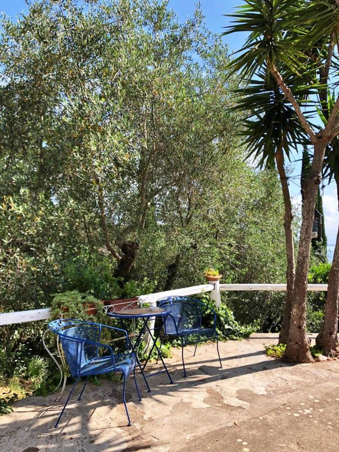 Cottage Pura Vigna Immerso Nella Natura Vicino Al Mare Porto Santo Stefano  Dış mekan fotoğraf