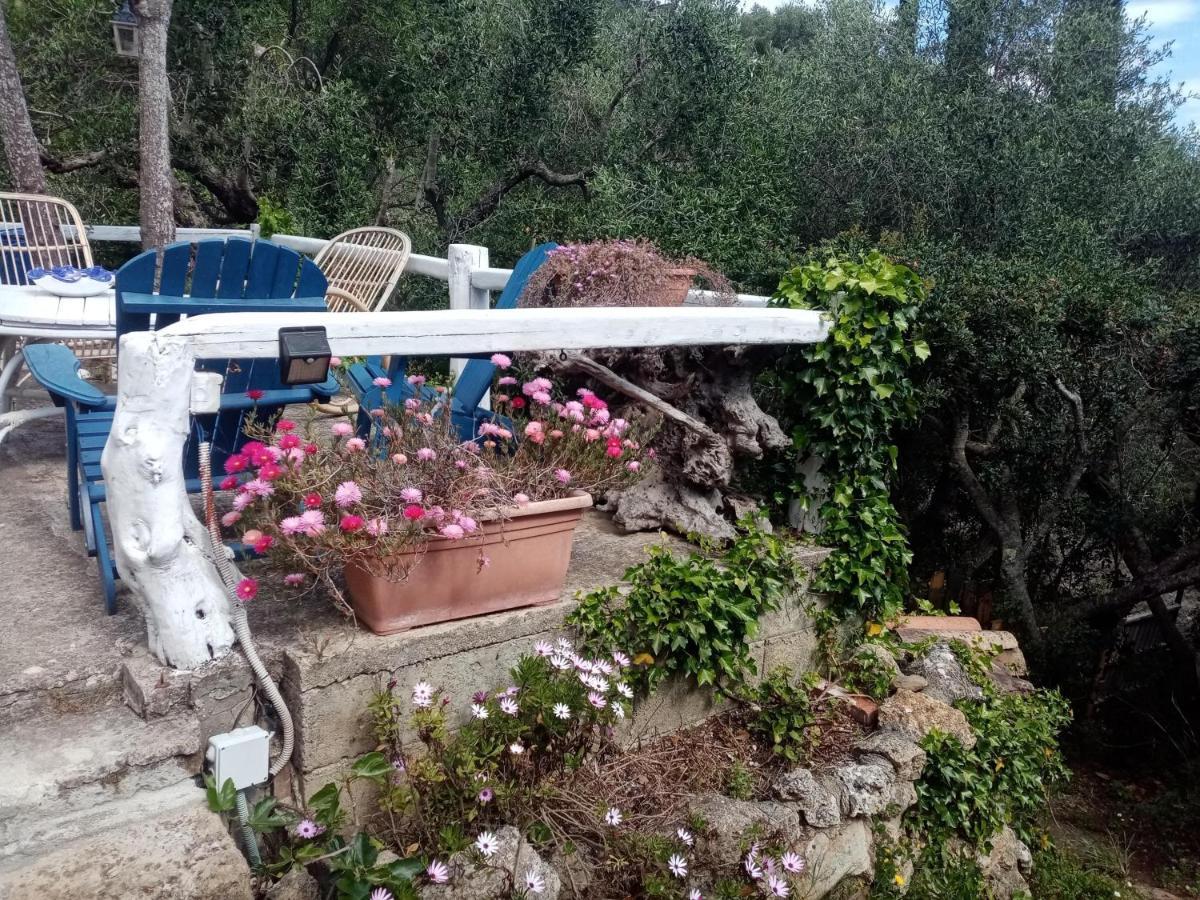 Cottage Pura Vigna Immerso Nella Natura Vicino Al Mare Porto Santo Stefano  Dış mekan fotoğraf