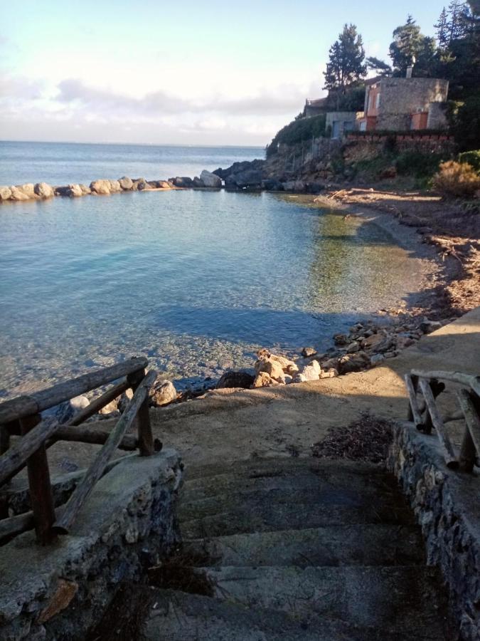 Cottage Pura Vigna Immerso Nella Natura Vicino Al Mare Porto Santo Stefano  Dış mekan fotoğraf