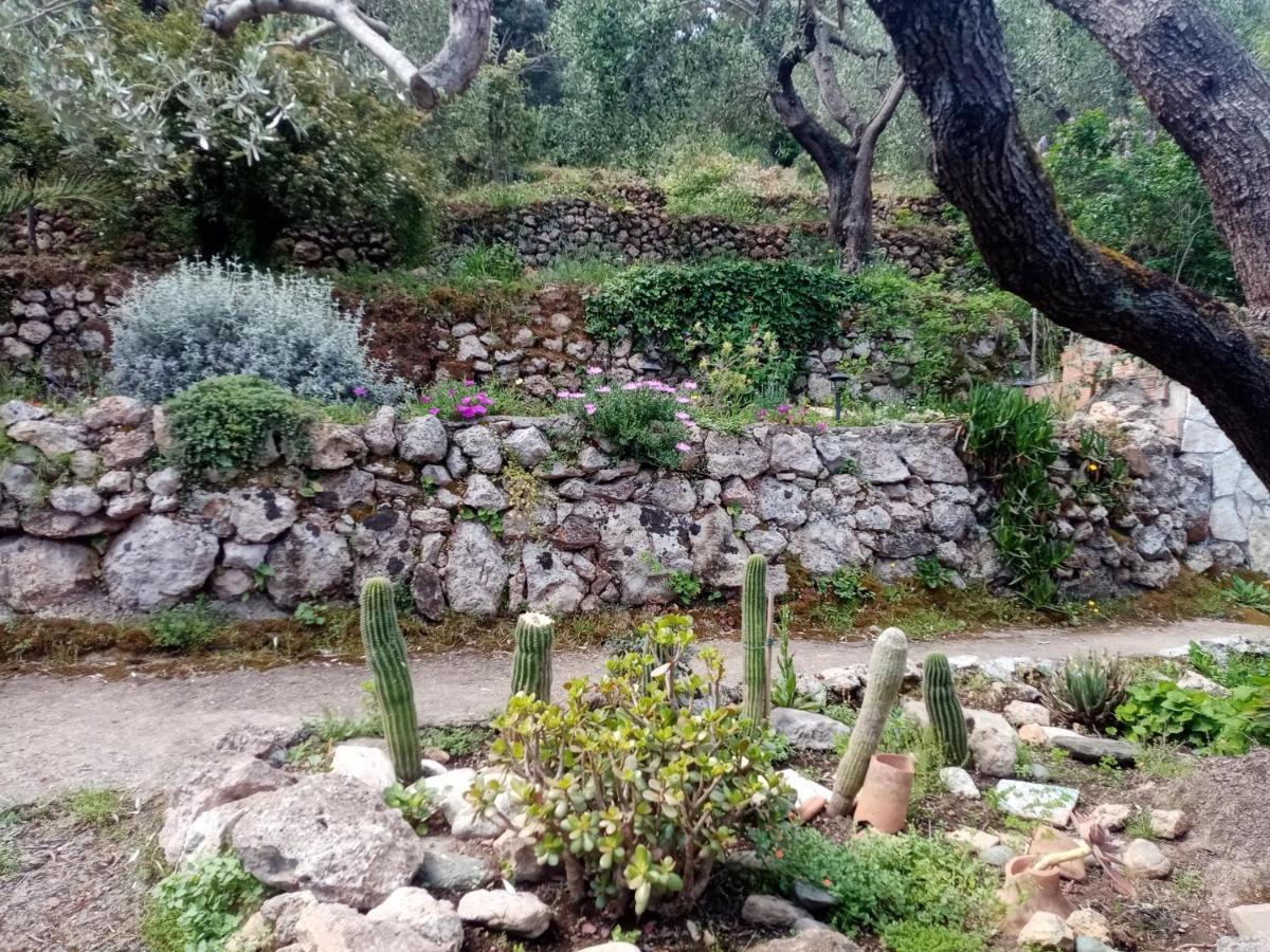 Cottage Pura Vigna Immerso Nella Natura Vicino Al Mare Porto Santo Stefano  Dış mekan fotoğraf