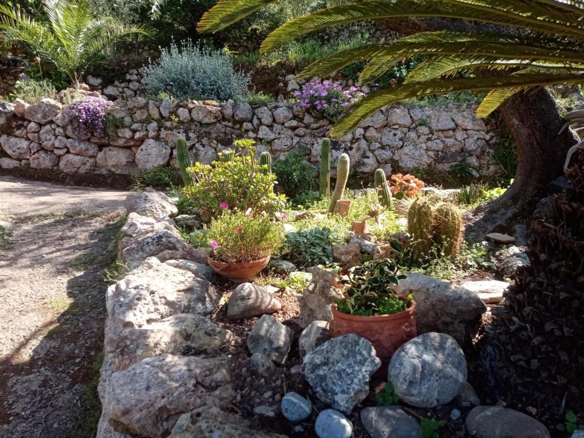 Cottage Pura Vigna Immerso Nella Natura Vicino Al Mare Porto Santo Stefano  Dış mekan fotoğraf