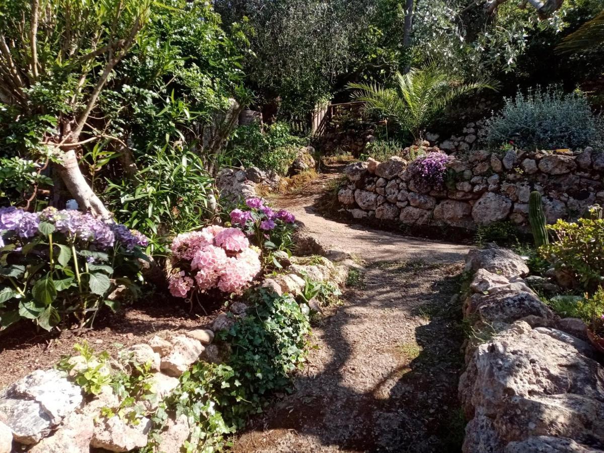 Cottage Pura Vigna Immerso Nella Natura Vicino Al Mare Porto Santo Stefano  Dış mekan fotoğraf