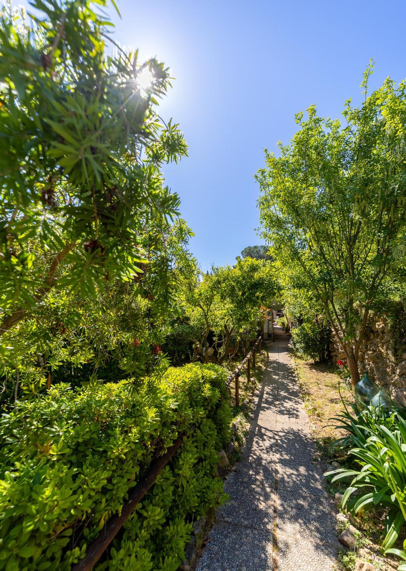 Cottage Pura Vigna Immerso Nella Natura Vicino Al Mare Porto Santo Stefano  Dış mekan fotoğraf