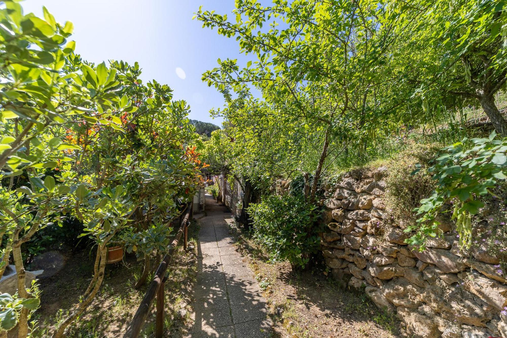 Cottage Pura Vigna Immerso Nella Natura Vicino Al Mare Porto Santo Stefano  Dış mekan fotoğraf