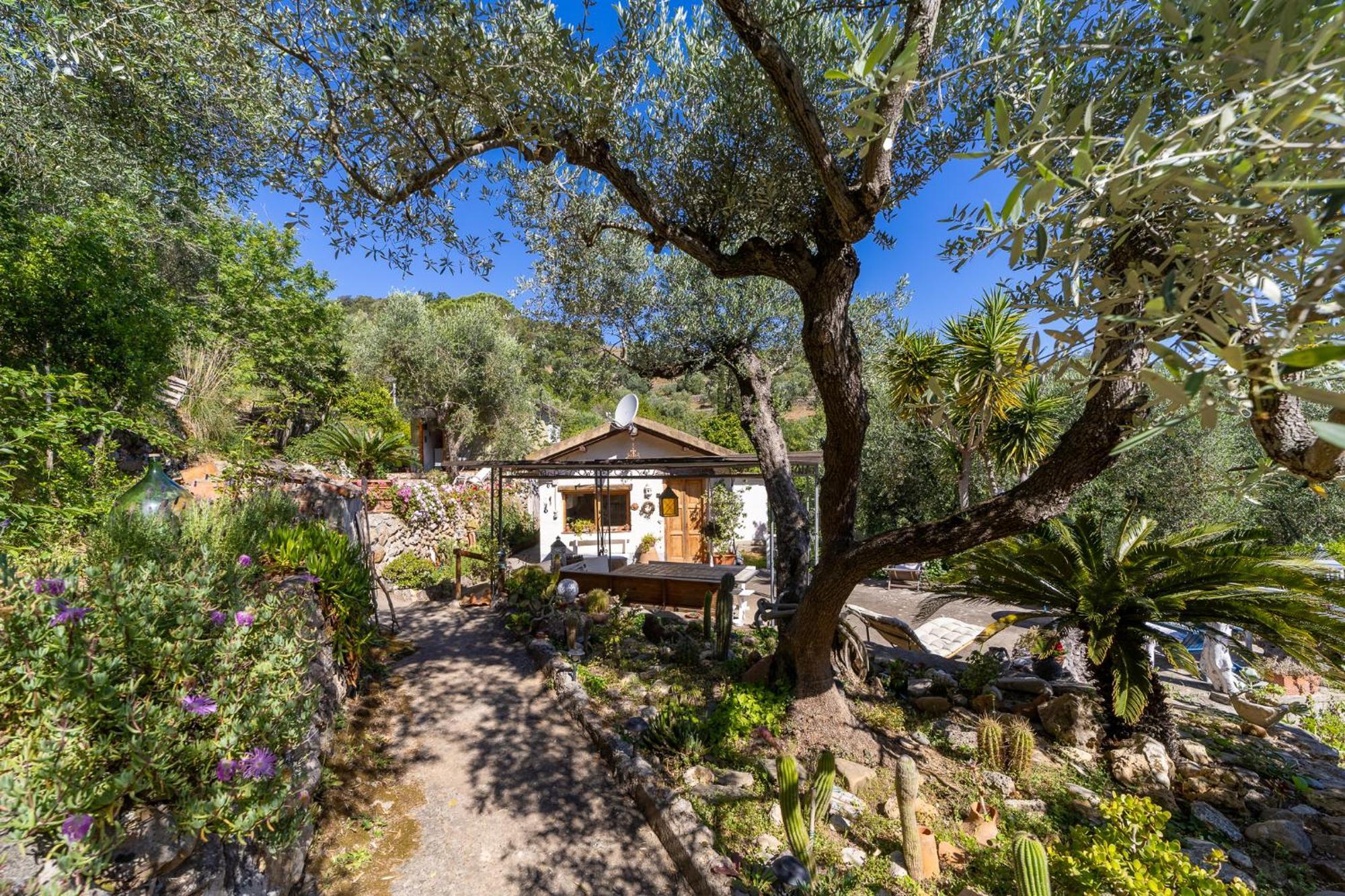 Cottage Pura Vigna Immerso Nella Natura Vicino Al Mare Porto Santo Stefano  Dış mekan fotoğraf